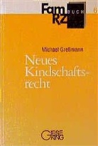 Michael Gressmann, Ingri Gross, Meo M Hahne u a - Neues Kindschaftsrecht