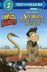 Chris Kratt, Chris Kratt Kratt, Martin Kratt, Random House - Wild Kratts
