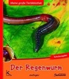 Valérie Tracqui, Bernard Baranger - Der Regenwurm