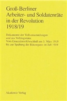 Gerhard Engel, Gab Huch, Gaby Huch, Ingo Materna - Groß-Berliner Arbeiter- und Soldatenräte in der Revolution 1918/19: Vom Generalstreikbeschluß am 3. März 1919 bis zur Spaltung der Räteorgane im Juli 1919