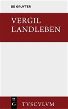 Vergil, Götte, Götte, Johanne Götte, Johannes Götte, Maria Götte - Landleben