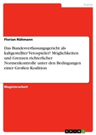 Florian Rühmann - Das Bundesverfassungsgericht als kaltgestellter Vetospieler? Möglichkeiten und Grenzen richterlicher Normenkontrolle unter den Bedingungen einer Großen Koalition