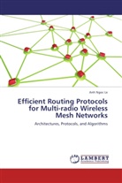 Anh Ngoc Le - Efficient Routing Protocols for Multi-radio Wireless Mesh Networks