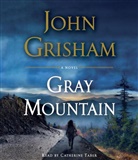 John Grisham, Catherine Taber - Gray Mountain (Hörbuch)