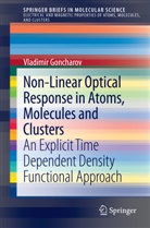 Vladimir Goncharov - Non-Linear Optical Response in Atoms, Molecules and Clusters