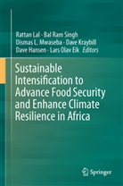Lars Olav Eik, Dave Hansen, David O. Hansen, Dave Kraybill, David Kraybill, Dismas L Mwaseba et al... - Sustainable Intensification to Advance Food Security and Enhance Climate Resilience in Africa