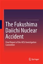 Atomic Energy Society of Japan, Atomi Energy Society of Japan, Atomic Energy Society of Japan - The Fukushima Daiichi Nuclear Accident