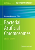 Kumara Narayanan, Kumaran Narayanan - Bacterial Artificial Chromosomes