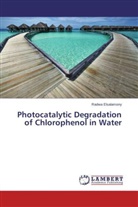 Radwa Elsalamony - Photocatalytic Degradation of Chlorophenol in Water