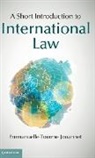 Emmanuelle Jouannet, Emmanuelle Tourme Jouannet, Emmanuelle Tourme Jouannet, Emmanuelle Tourme-Jouannet - Short Introduction to International Law