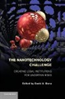 David A. Dana, David A. (Northwestern University Dana, David A. Dana, Dana David A. - Nanotechnology Challenge