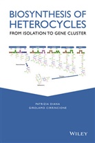 Girolamo Cirrincione, Cirrincione Girolamo, P Diana, Patrizia Diana, Patrizia Cirrincione Diana, Diana Patrizia - Biosynthesis of Heterocycles