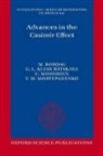 Michael Bordag, Michael (Center of Theoretical Studies and Bordag, Michael (Center of Theoretical Studies and Institute for Theoretical Physics Bordag, Michael Klimchitskaya Bordag, Galina Leonidovna Klimchitskaya, Galina Leonidovna (Department of Physics Klimchitskaya... - Advances in the Casimir Effect