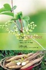 Clemens Hildebrandt, Clemens Hildebrandt, Michael Williams, Ral, Ralf Roessner, Ralf Hildebrandt Roessner... - The Light Root