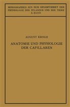 Ulrich Ebbecke, Augus Krogh, August Krogh - Anatomie und Physiologie der Capillaren