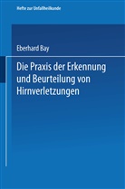 Eberhard Bay - Die Praxis der Erkennung und Beurteilung von Hirnverletzungen