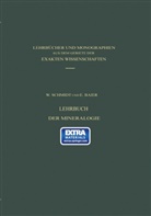 Baier, Baier, Schmidt, W Schmidt, W. Schmidt - Lehrbuch der Mineralogie