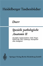 Wilhelm Doerr - Spezielle pathologische Anatomie - 70a: Spezielle pathologische Anatomie II