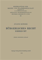 Julius Binder - Bürgerliches Recht