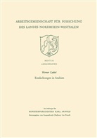 Werner Caskel - Entdeckungen in Arabien