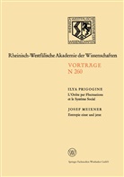 Josef Meixner, Ily Prigogine, Ilya Prigogine - L'Ordre par Fluctuations et le Système Social / Entropie einst und jetzt