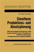Peter Vischer - Simultane Produktions- und Absatzplanung