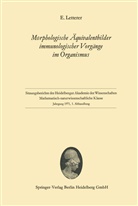 Erich Letterer - Morphologische Äquivalentbilder immunologischer Vorgänge im Organismus
