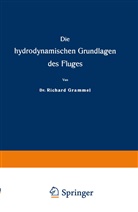 Richard Grammel - Die hydrodynamischen Grundlagen des Fluges