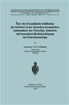 Karl Bernhard Lehmann - Über die Gesundheitsverhältnisse der Arbeiter in der deutschen keramischen insbesondere der Porzellan - Industrie mit besonderer Berücksichtigung der Tuberkulosefrage