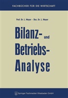 Leopold Mayer - Bilanz- und Betriebsanalyse