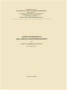Kurt-Alphon Jochheim, Kurt-Alphons Jochheim, R Kivelitz, Rolf Kivelitz, Friedric Loew, Friedrich Loew - Klinik und Behandlung der lumbalen Bandscheibenschäden