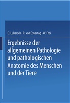 W Frei, W. Frei, Osca Lubarsch, Oscar Lubarsch, R. von Ostertag, von Ostertag... - Ergebnisse der Allgemeinen Pathologie und Pathologischen Anatomie des Menschen und der Tiere