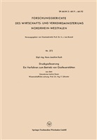 Hans Joachim Koch - Druckgasfeuerung Ein Verfahren zum Betrieb von Gasfeuerstätten
