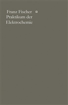 Franz Fischer - Praktikum der Elektrochemie