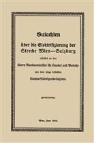Robert Findeis - Gutachten über die Elektrifizierung der Strecke Wien -Salzburg
