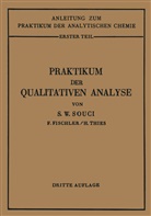 Siegfried Walte Souci, Siegfried Walter Souci, Heinrich Thies - Praktikum der qualitativen Analyse