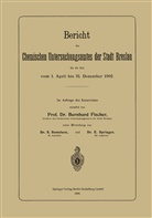 Bernhar Fischer, Bernhard Fischer, Samelson, S Samelson, S. Samelson, E Springer... - Bericht des Chemischen Untersuchungsamtes der Stadt Breslau für die Zeit vom 1. April bis 31. Dezember 1902