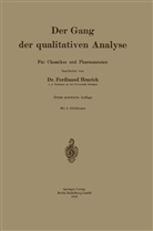 Ferdinant Henrich - Der Gang der qualitativen Analyse
