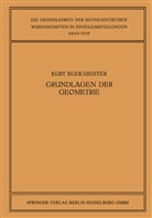 Kurt Reidemeister - Vorlesungen über Grundlagen der Geometrie