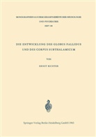 Ernst Richter - Die Entwicklung des Globus Pallidus und des Corpus Subthalamicum