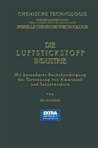 Bruno Waeser - Die Luftstickstoff-Industrie