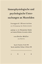 Detlev Müller-Using - Sinnesphysiologische und psychologische Untersuchungen an Musteliden
