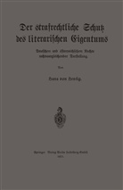 Hans von Hentig, Hans von Hentig - Der strafrechtliche Schutz des literarischen Eigentums nach deutschem und österreichischem Rechte in rechtsvergleichender Darstellung