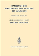 Joachim-Hermann Scharf - Nervensystem : Sensible Ganglien