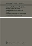 Walthe Busse von Colbe, Walther Busse von Colbe, Gert Laßmann - Lösungsheft zu den Aufgaben der vierten Auflage des Buches