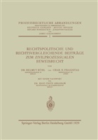 Fritz Abraham, Cha Fragistas, Char Fragistas, Kenneth A u a Loparo, Kenneth A. Loparo, N u a... - Rechtspolitische und Rechtsvergleichende Beiträge zum Zivilprozessualen Beweisrecht