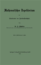 Johannes Schubert - Mathematisches Repetitorium für Studirende der Forstwissenschaft