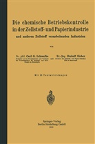 Carl Gusta Schwalbe, Carl Gustav Schwalbe, Rudolf Sieber - Die chemische Betriebskontrolle in der Zellstoff- und Papierindustrie und anderen Zellstoff verarbeitenden Industrien