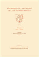 Wolfgang Riezler - Probleme der Kernphysik. Isotope als Forschungsmittel in der Chemie und Biochemie