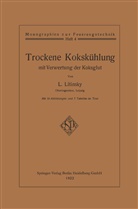 Leonid Litinsky - Trockene Kokskühlung mit Verwertung der Koksglut